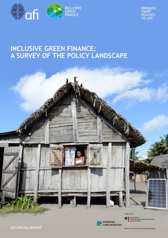 Inclusive green finance: a survey of the policy landscape