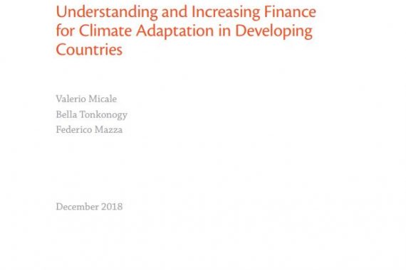 Understanding and Increasing Finance for Climate Adaptation in Developing Countries